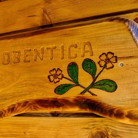 Glamping Brodej Luksuzni šotor