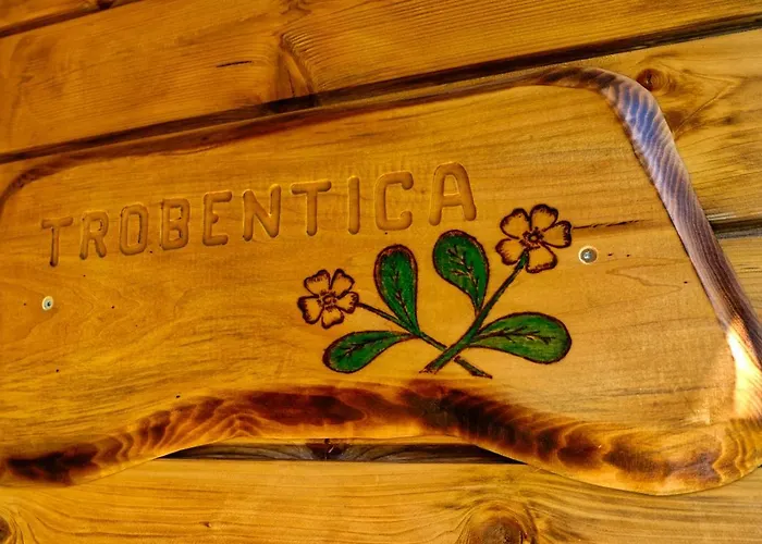 Glamping Brodej Lyxtält